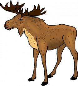 Free Moose Animal Cliparts, Download Free Clip Art, Free Clip Art on ...
