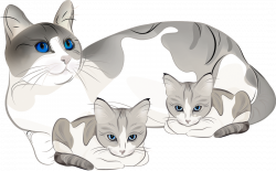 Cat kitten clip art library - RR collections