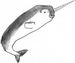 Narwhal Drawing Cetacea CorelDRAW Encapsulated PostScript free ...