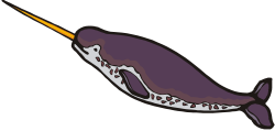 narwhal clip art - Google Search | Theme Safari - Animals ...