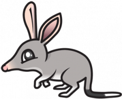 Animated Australian Animals Group with 53+ items