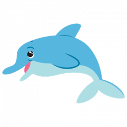 Sea Animals transparent PNG images - StickPNG