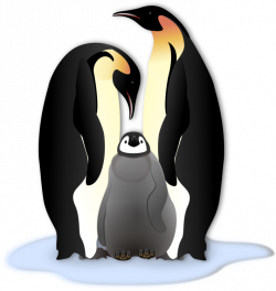The Emperor penguins Bird free commercial clipart - Penguin,Emperor ...