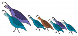 Quail Clip Art - Groups of Quail - Gambel Quails - 2 | Birds | Birds ...