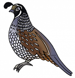 Animals Clip Art by Phillip Martin, Quail