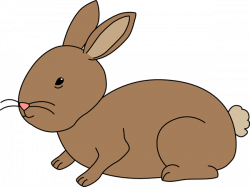 Rabbit Clipart | Free Download Clip Art | Free Clip Art | on Clipart ...