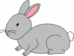 Rabbit Clipart | Free Download Clip Art | Free Clip Art | on Clipart ...