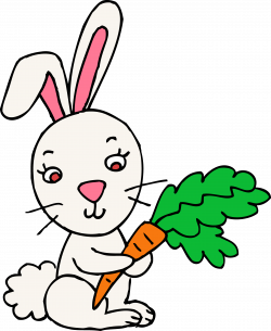 Rabbit Clipart | Free Download Clip Art | Free Clip Art | on Clipart ...