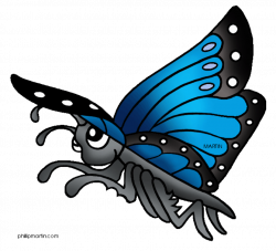 Rainforest Animals Clip Art free image