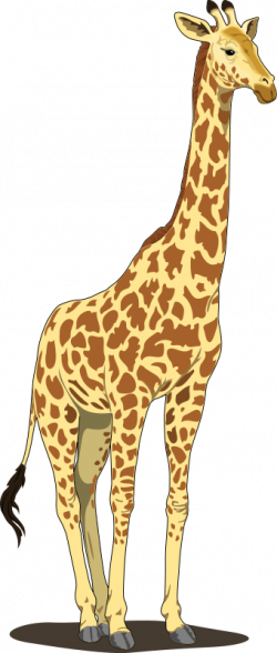Giraffe Clip Art | Giraffe Clip Art Royalty FREE Animal Images ...
