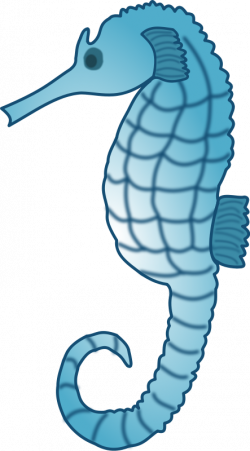 Free Sea Animal Art, Download Free Clip Art, Free Clip Art on ...