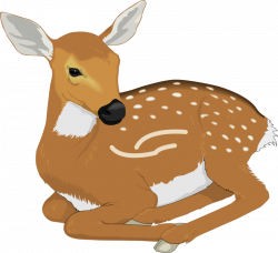 Free Transparent Animal Cliparts, Download Free Clip Art, Free Clip ...