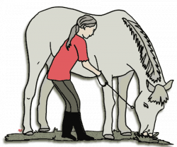 Free Caring Animals Cliparts, Download Free Clip Art, Free Clip Art ...