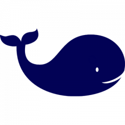 Sea Animals transparent PNG images - StickPNG