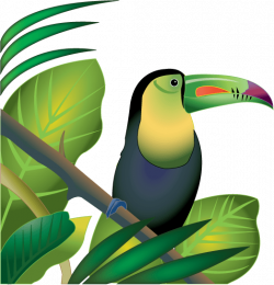 Tropical Rainforest Animals Clip Art