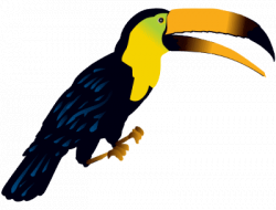 Free Tropical Rainforest Clipart, Download Free Clip Art, Free Clip ...