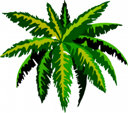 Tropical rainforest Plants Leaf Drawing Tropics free commercial ...
