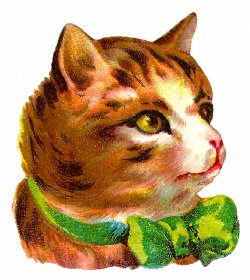 Vintage cat vector royalty free stock - RR collections