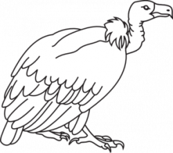 Free Vulture Cliparts, Download Free Clip Art, Free Clip Art on ...