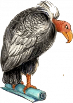 Animal Graphic Vulture | PicGifs.com