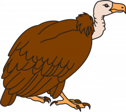 Buzzard Free Clipart