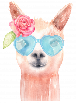 Watercolor alpaca, original handmade llama illustrations: Baby ...