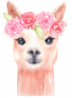 Alpaca and flower clipart/ Llama clip art/ watercolor clipart ...
