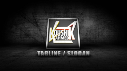 Create 2 Amazing Animated Logo Intro Video for $5