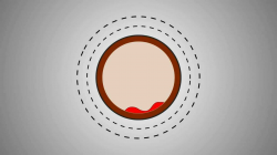 2D Logo Animation in After Effects - YouTube