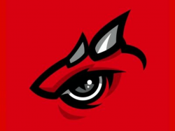 Swartz Creek Dragons Eye | Logo dragon, Dragon eye, Eye logo