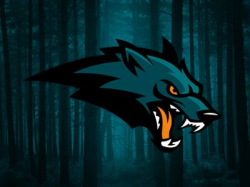 Wolf | Sports logo, Logos, Esports logo