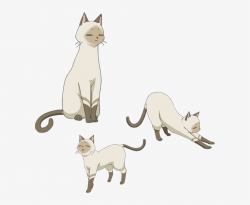 Kenny Body - Flying Witch Anime Cat - Free Transparent PNG ...