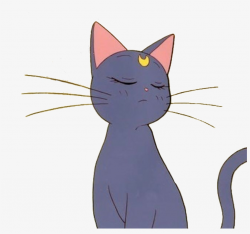 Anime Cat Sailormoon Aesthetic Tumblr Sticker Freetoedi ...