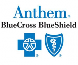 Anthem Logo Sidebar - Foot Levelers Blue Ridge Marathon
