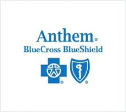 anthem-logo | 500 Festival