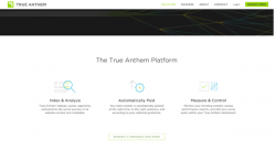 True Anthem Copywriting Project - Sway Copy