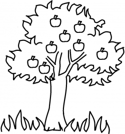 Free Apple Tree Clipart Black And White, Download Free Clip ...