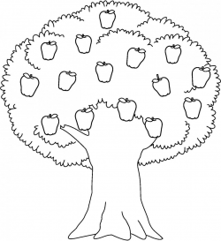 Apple black and white apple trees clipart black and white ...