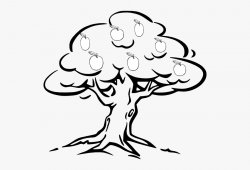Apple Tree Clipart Black And White - Tree Black & White ...
