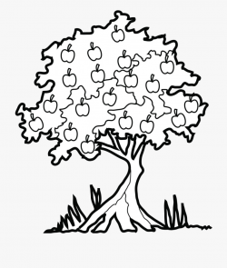 Apple Tree Great Clipart Black And White Family Of ...