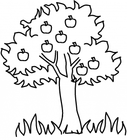 Apple black and white family tree clip art black and white ...