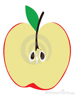 Half Apple Clipart | Free download best Half Apple Clipart on ...