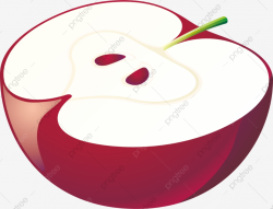 Half Apples, Vector Fruit, Apple Cut, Side View PNG and Vector with ...