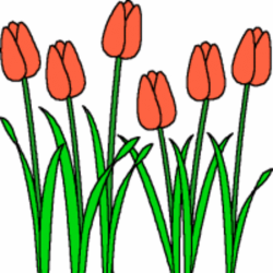 Free Spring Tulip Cliparts, Download Free Clip Art, Free ...