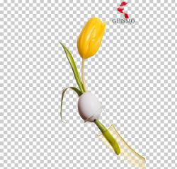 Download for free 10 PNG April clip art tulip top images at ...