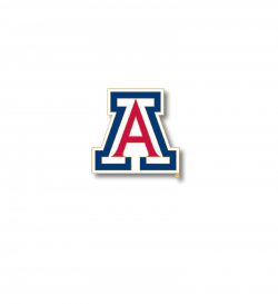 PIN LAPEL 3/4 INCH | University of Arizona BookStores