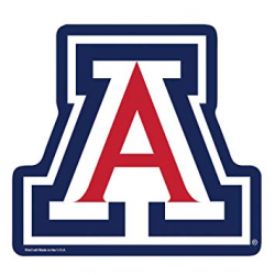 Amazon.com : NCAA Arizona Wildcats Logo on The GoGo : Sports ...