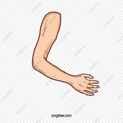 Arm Design, Arm Clipart, Arm, Finger PNG Transparent Clipart ...