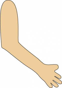 Human Arms Cliparts - Cliparts Zone