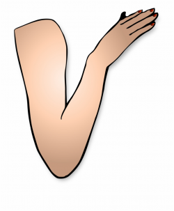 Download Arm Png Image - Girl Arms Clipart {#482725} - Pngtube